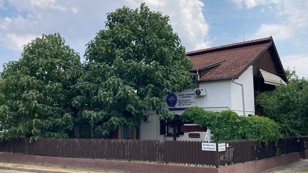 Gyúrós Vendégház Tótkomlós (1)