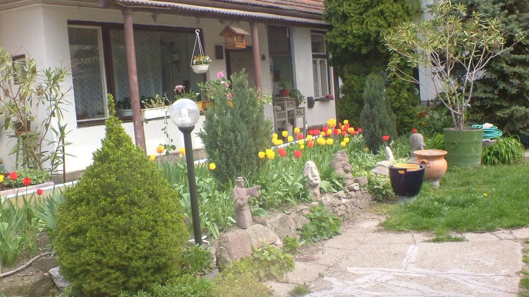 Panni Pihenőház Szentendre (1)