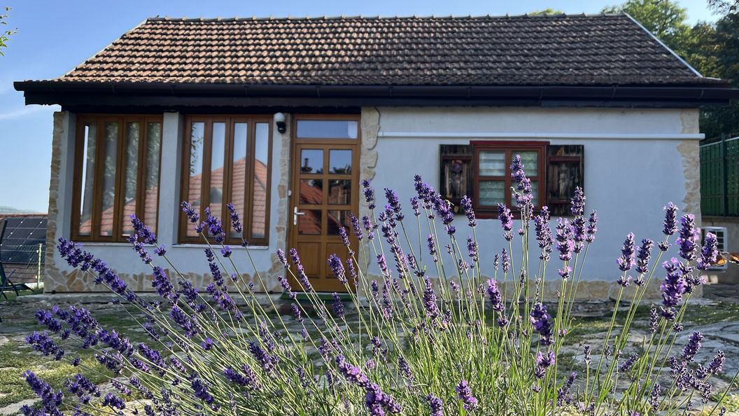 Mókus ház Visegrád (1)