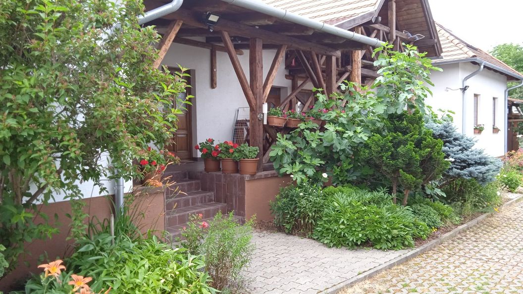 Aszú Vendégház Bük (1)