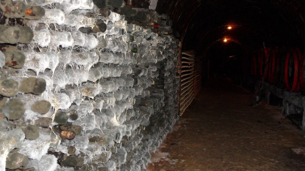 Novák Pince Vendégfogadó Szigetvár (1)