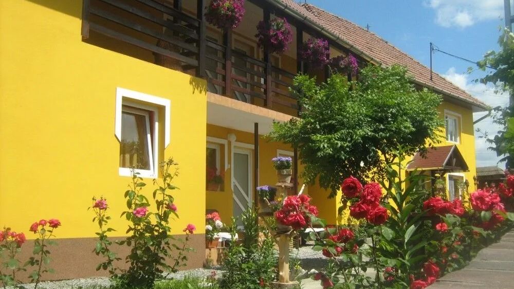 Pensiunea Gabriella Zetea (1)