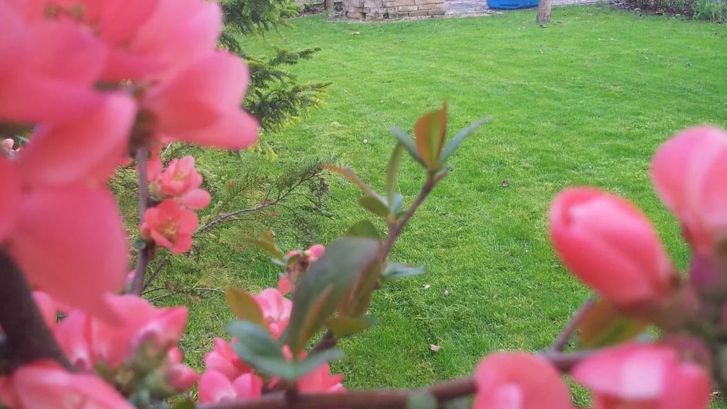 Anna Villa Balatonlelle (1)