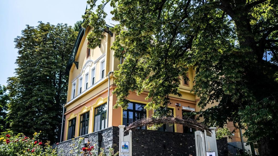 Neptun Panzió Badacsony (1)