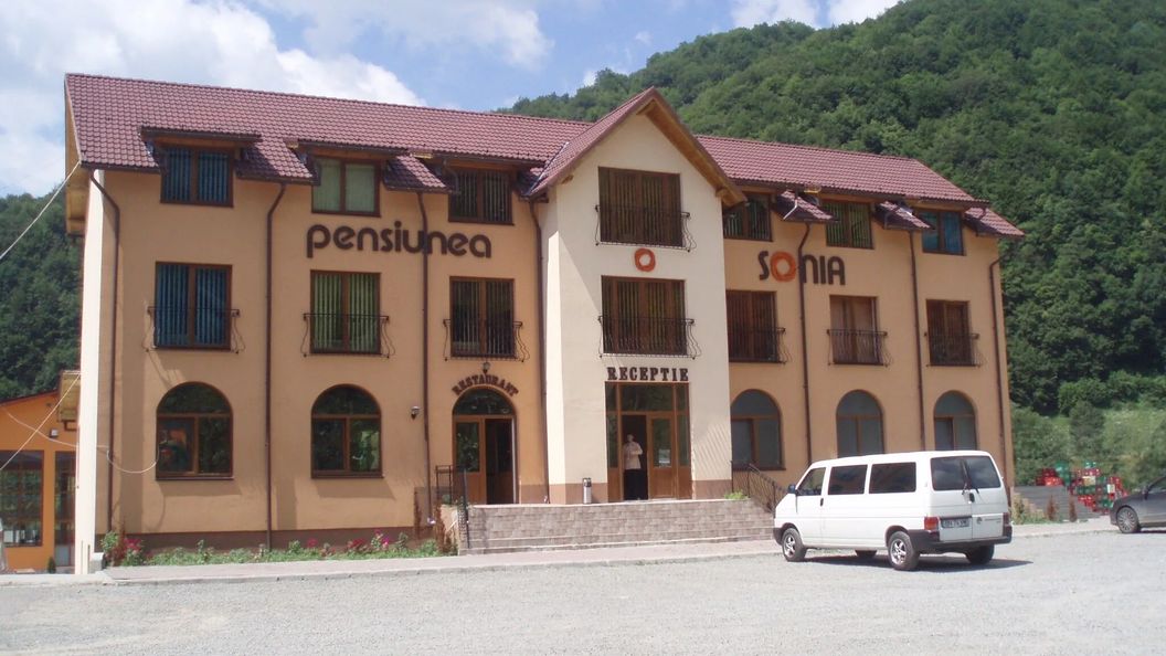 Pensiunea Sonia Telciu (1)