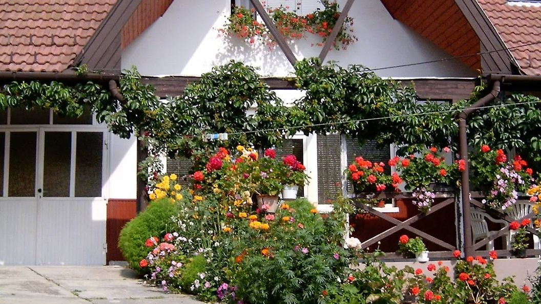 Akác Vendégház Eger (1)