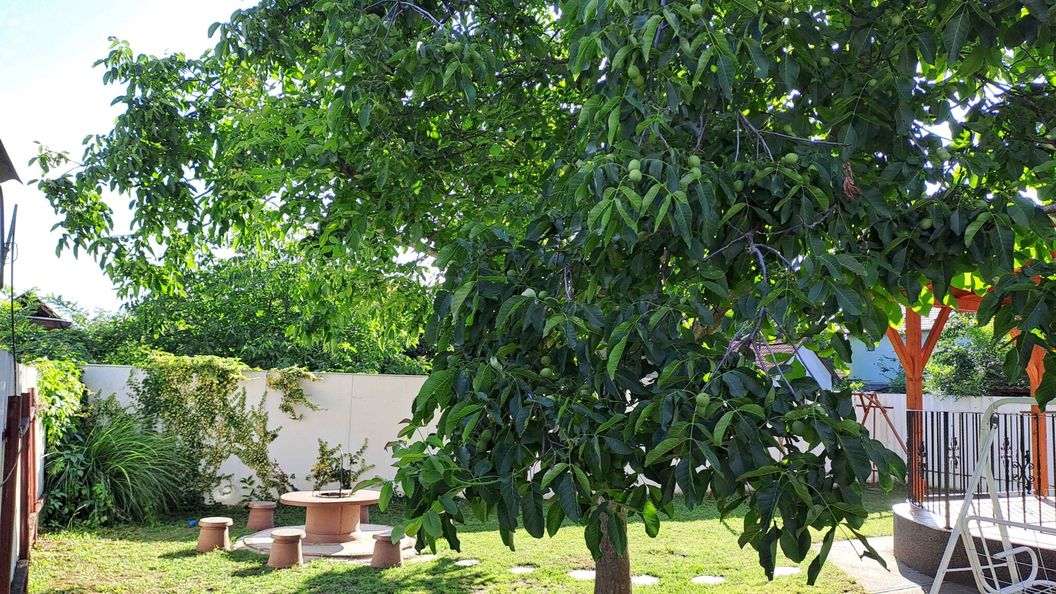 Dolce Vita Vendégház Hajdúszoboszló (1)