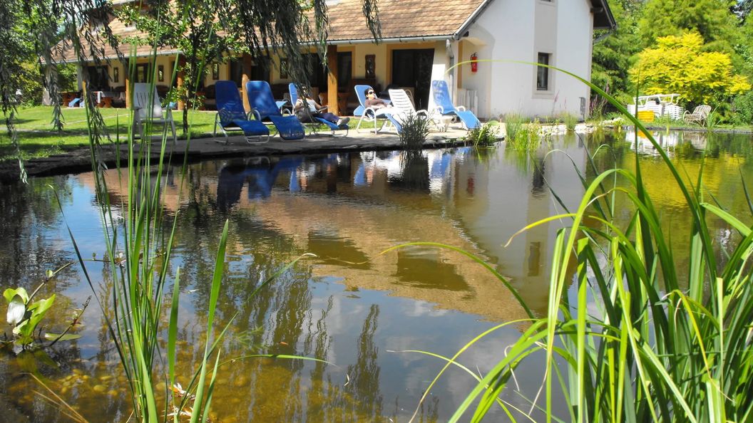 Lovaspanzió Hévíz (1)