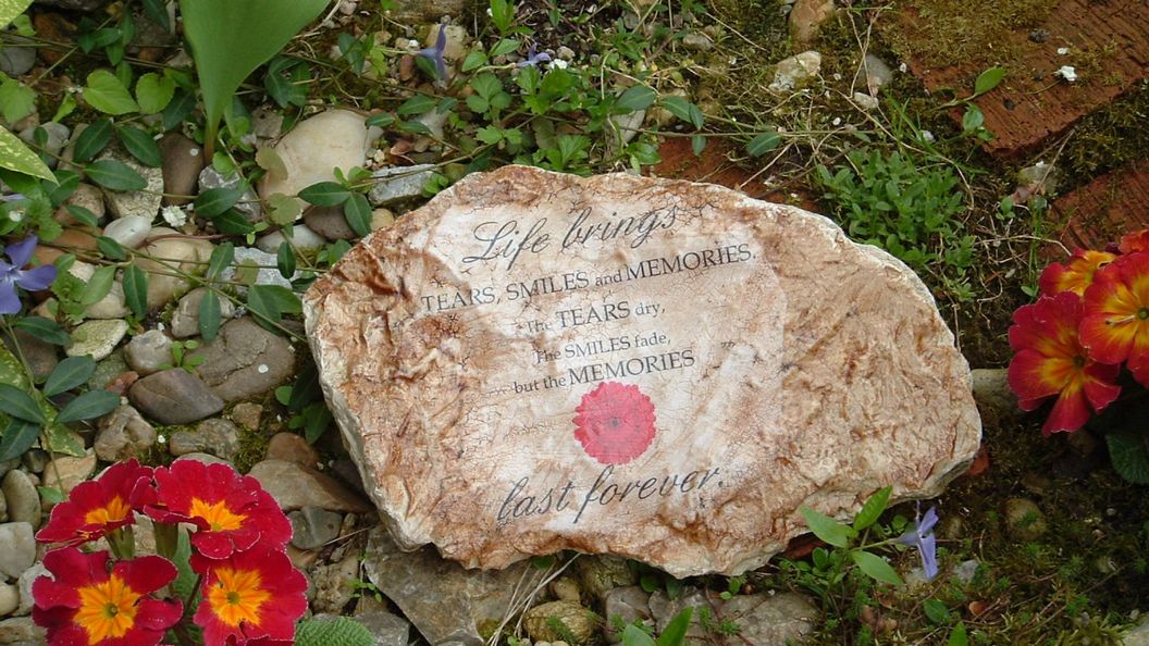 Pálfalvi MSz Sztella Apartman Miskolctapolca (1)