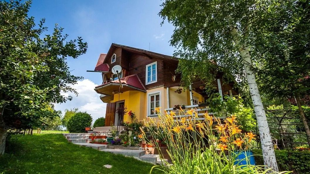 Pensiunea Napraforgó Borzont (1)