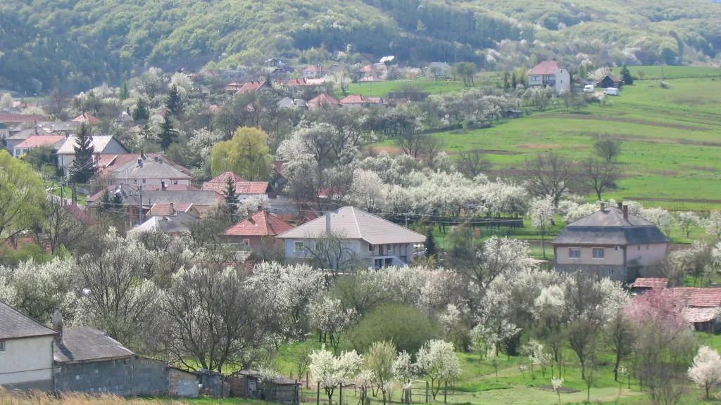 Papréte Vendégház Mályinka (1)