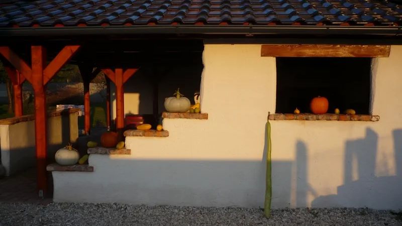 Hanság Vendégház Kapuvár (1)