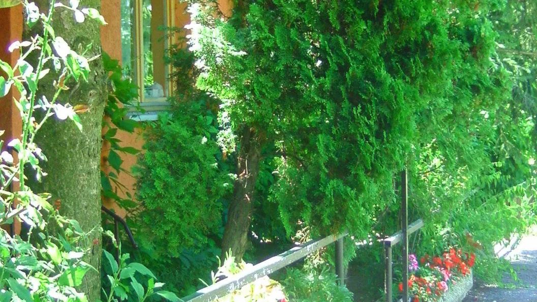 Margó Panzió Vértessomló (1)