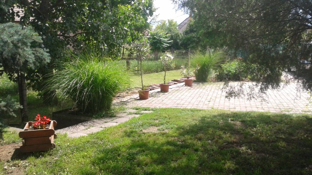 Boróka Apartman Sarud (1)