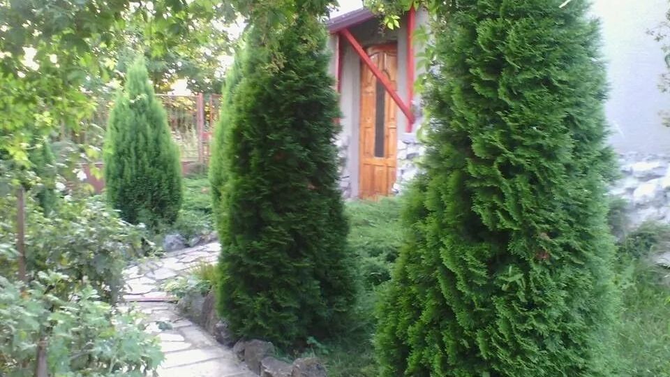 Pensiunea Péter Annamária & Géza Cristur (1)