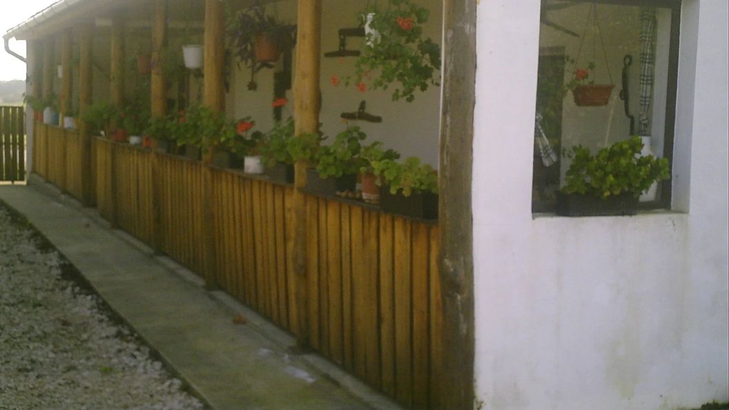 Nefelejcs Vendégház Diósviszló (1)