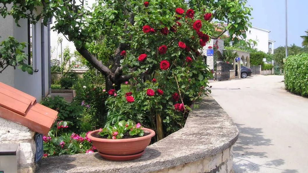 Apartmani Cerin Rovinj (1)