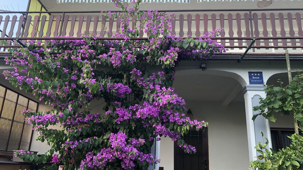 Apartman Marija Selce (1)