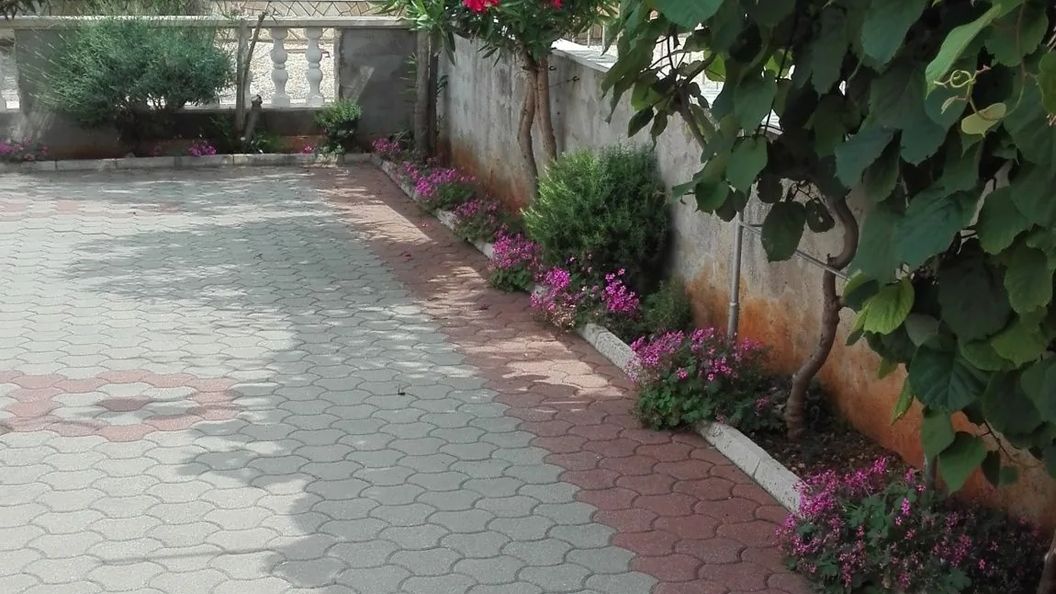 Apartmani Pantaler Vir (1)