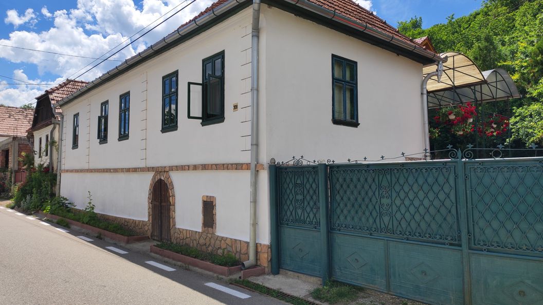 Pensiunea Elza Rimetea (1)