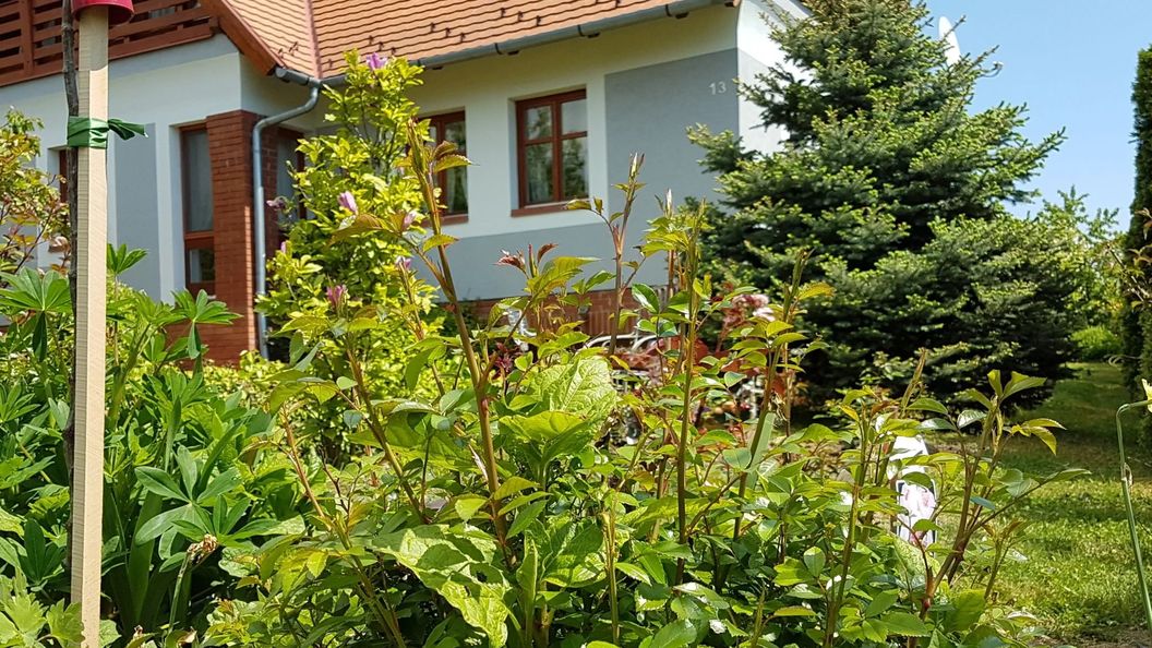 Ginavilla Keszthely (1)