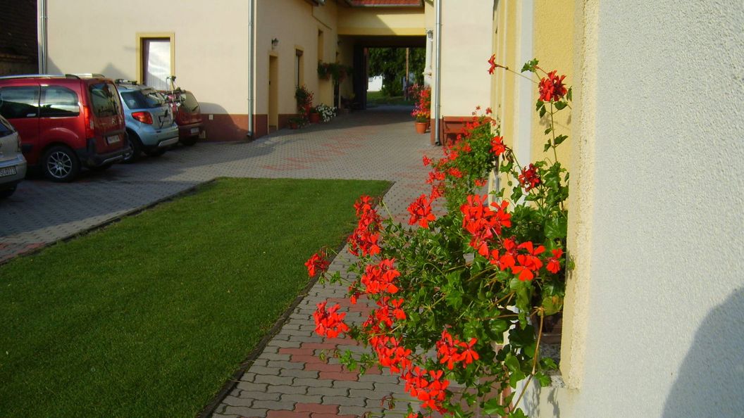 Szűts Vendégház Fertőrákos (1)