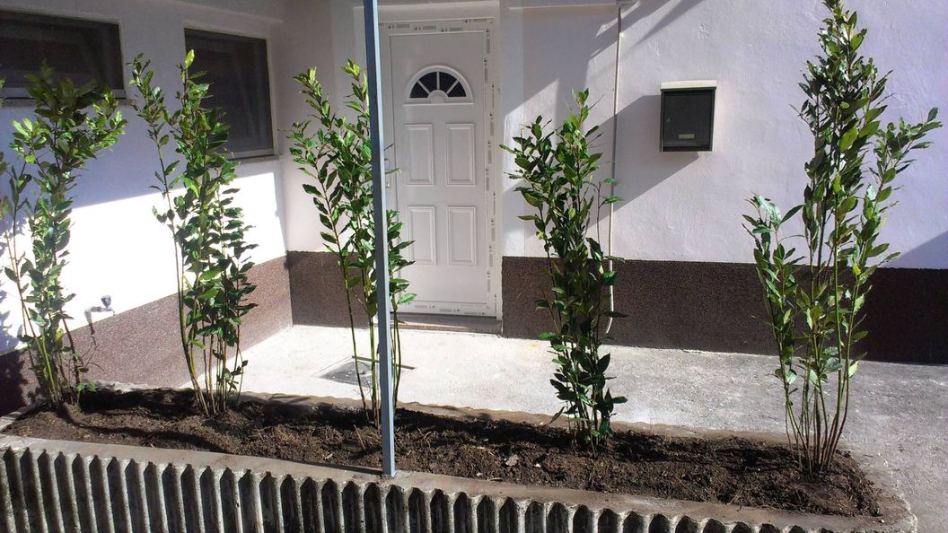 Apartman Nika Rijeka (1)