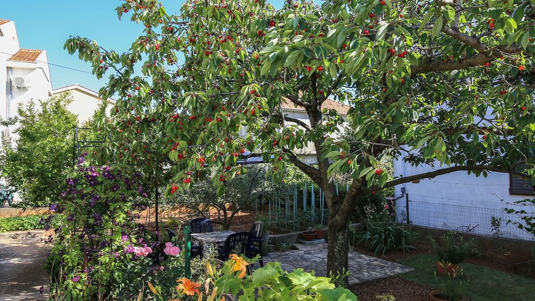 Apartmani Tea Zadar (1)