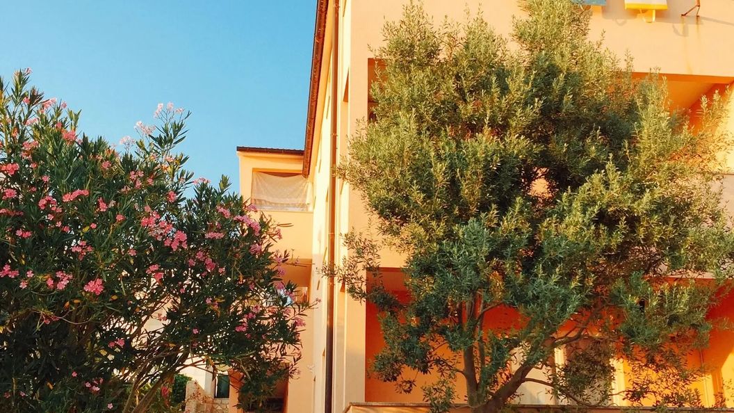 Apartmani Ivana2 Vidalici Novalja (1)