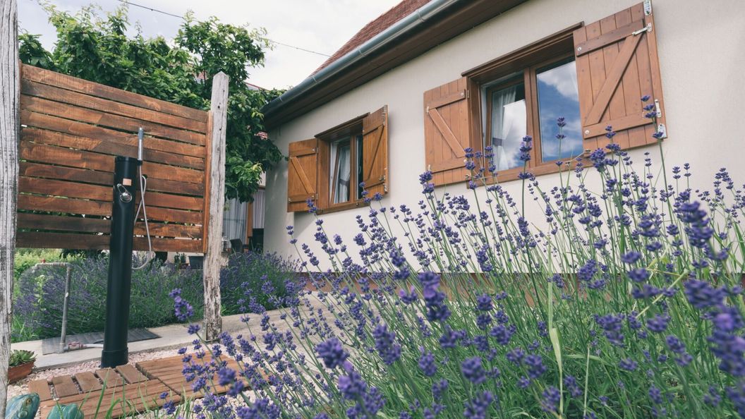 Leven-dülő Vendégház Mozsgó (1)