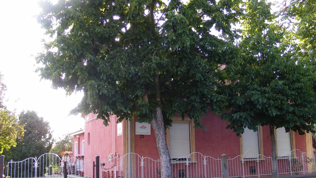 Terike Vendégház Hévíz (1)