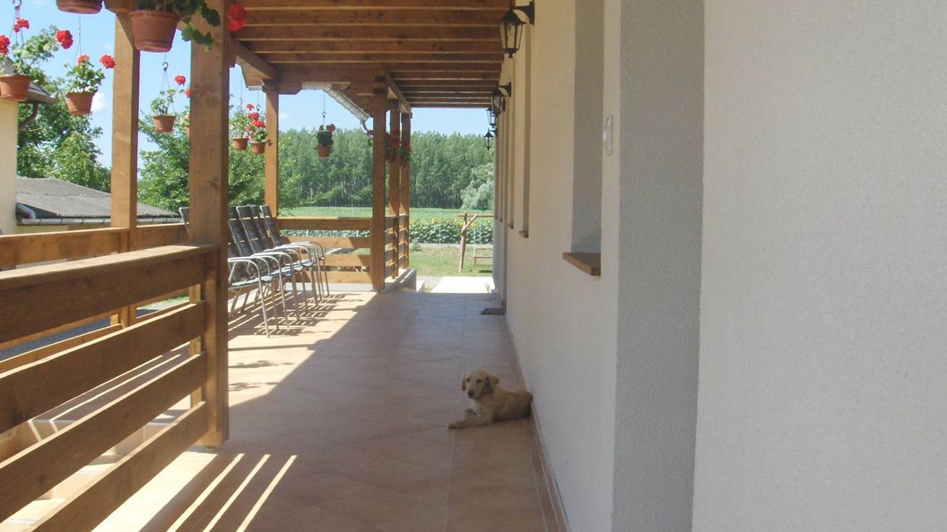 Kékszilva Vendégház Pap (1)