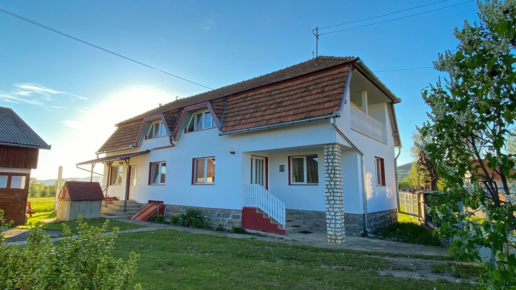 Casa Farkas Lăzarea (1)
