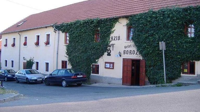 Retel Vitéz Vendégház Sárospatak (1)