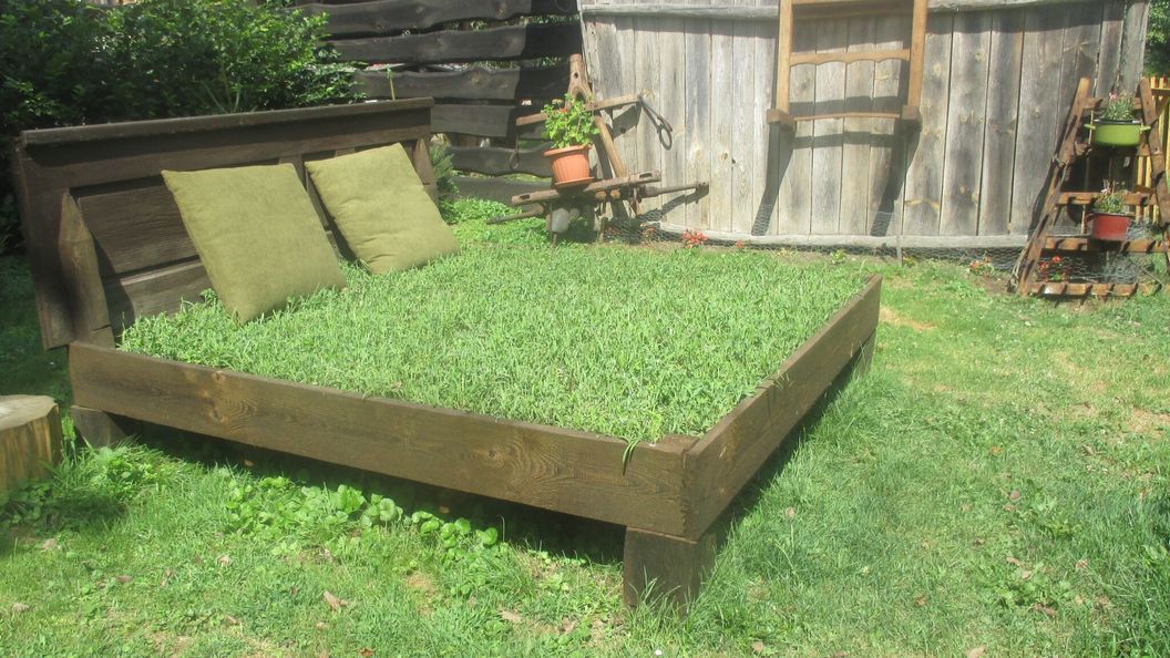 Kéknefelejcs Vendégház Szatta (1)