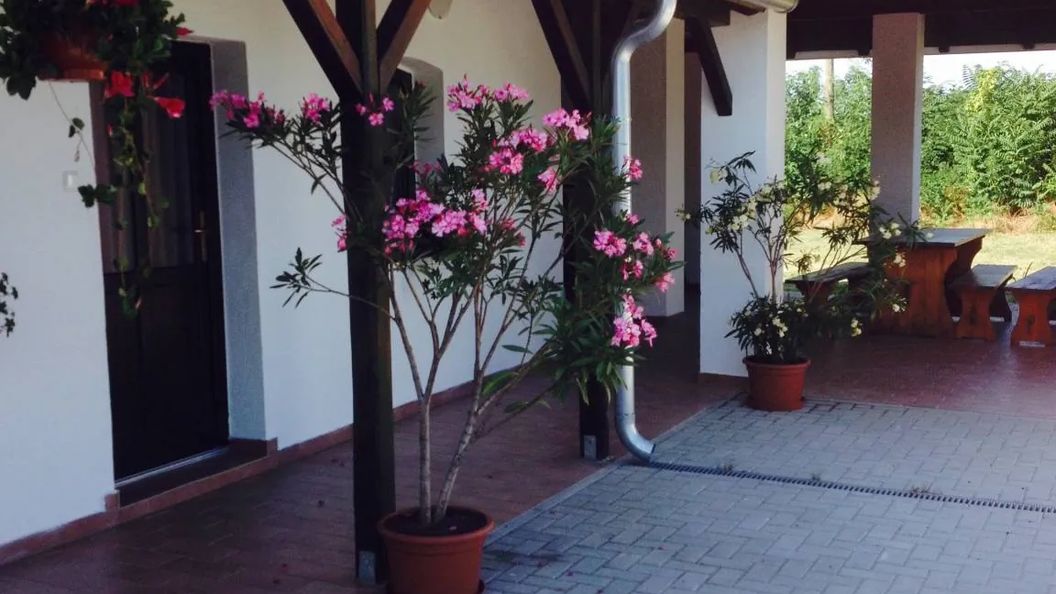 Jázmin Vendégház Homokbödöge (1)