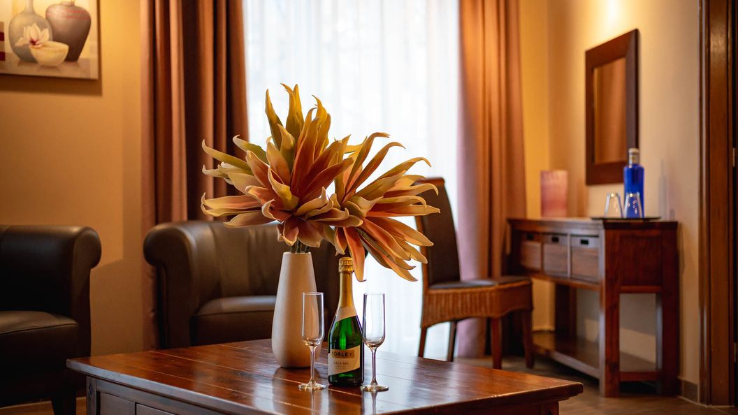 Maya Panzió Szeged (1)