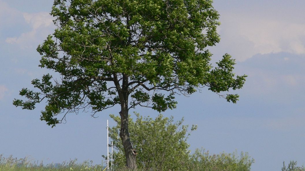 PatakParti Vendégházak Pázmánd (1)