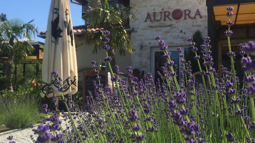 Aurora Panzió Bük (1)