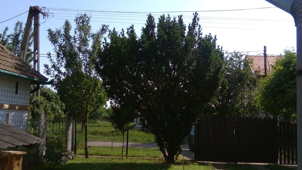 Kovácsék Háza Poroszló (1)