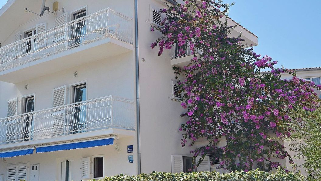 Apartments Šime Srima (1)