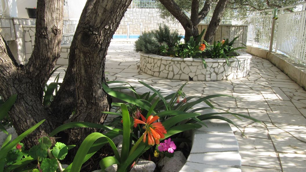 Rooms Falcon Brist (1)