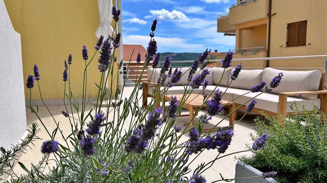 Apartments Pinta de Sol Čižići II (1)