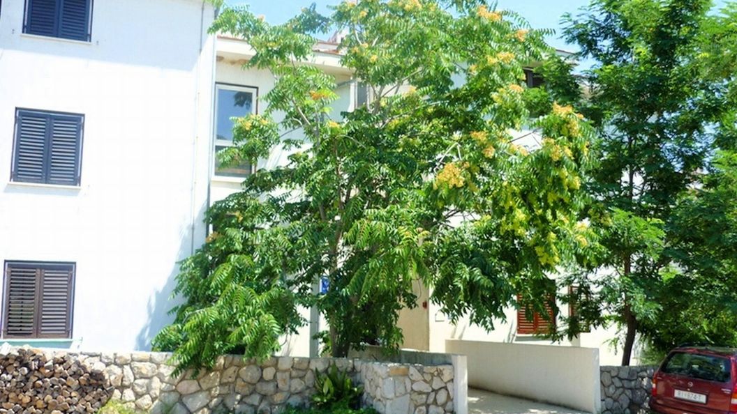 Apartment Sanja Krk (1)