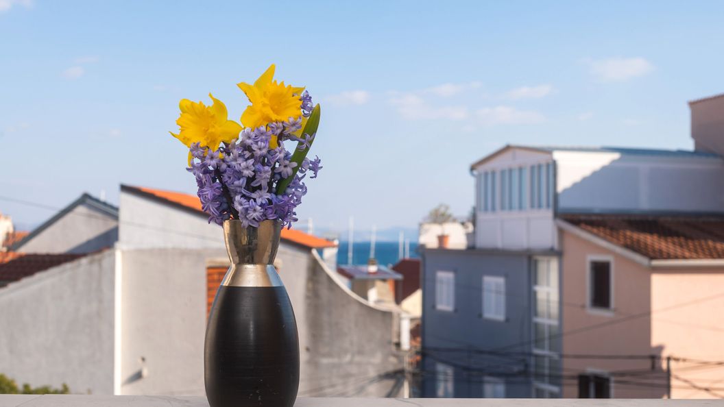 Apartment Lena city center near beach Vodice (1)