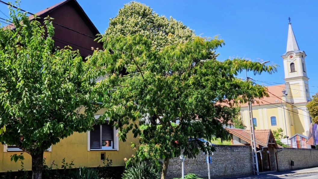 Fehér Rózsa Ház Alsópáhok (1)