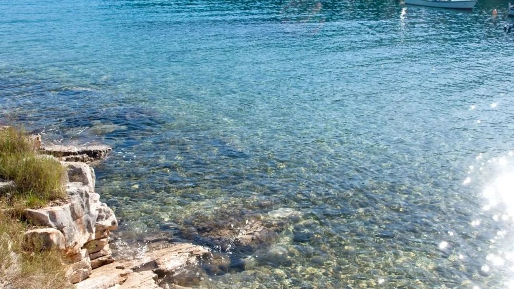 Apartment Deni Milna (1)