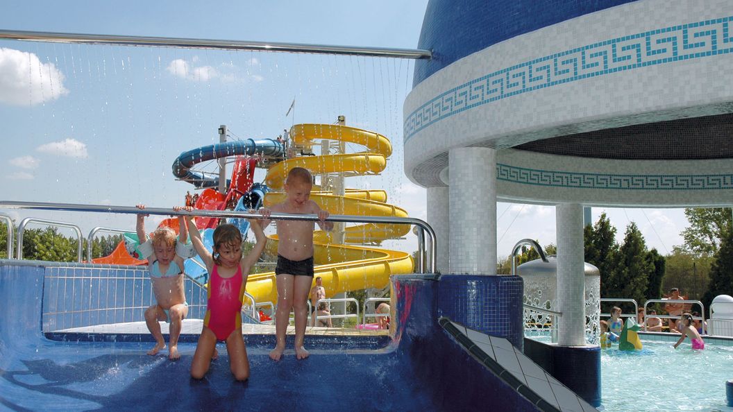 Vaddisznó Lak Kiskunmajsa (1)