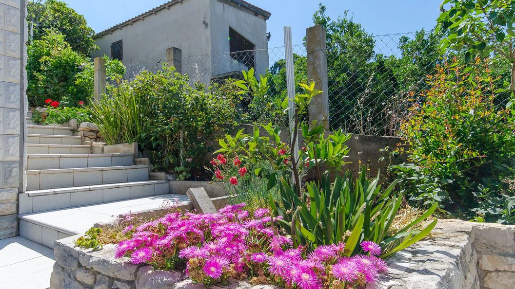 Apartment Ljubica Zavalatica (1)