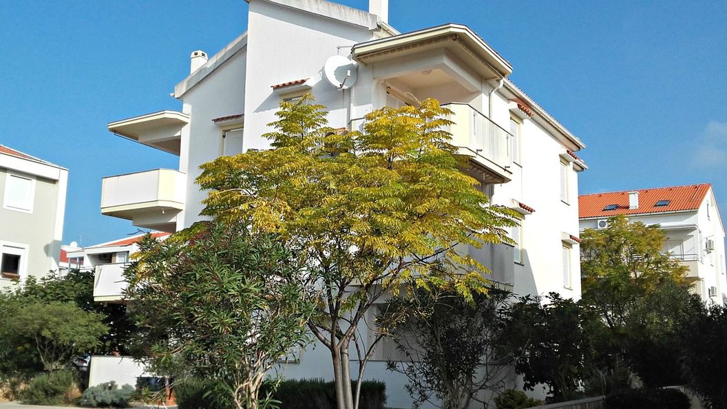 Apartment ĐURĐA Novalja (1)